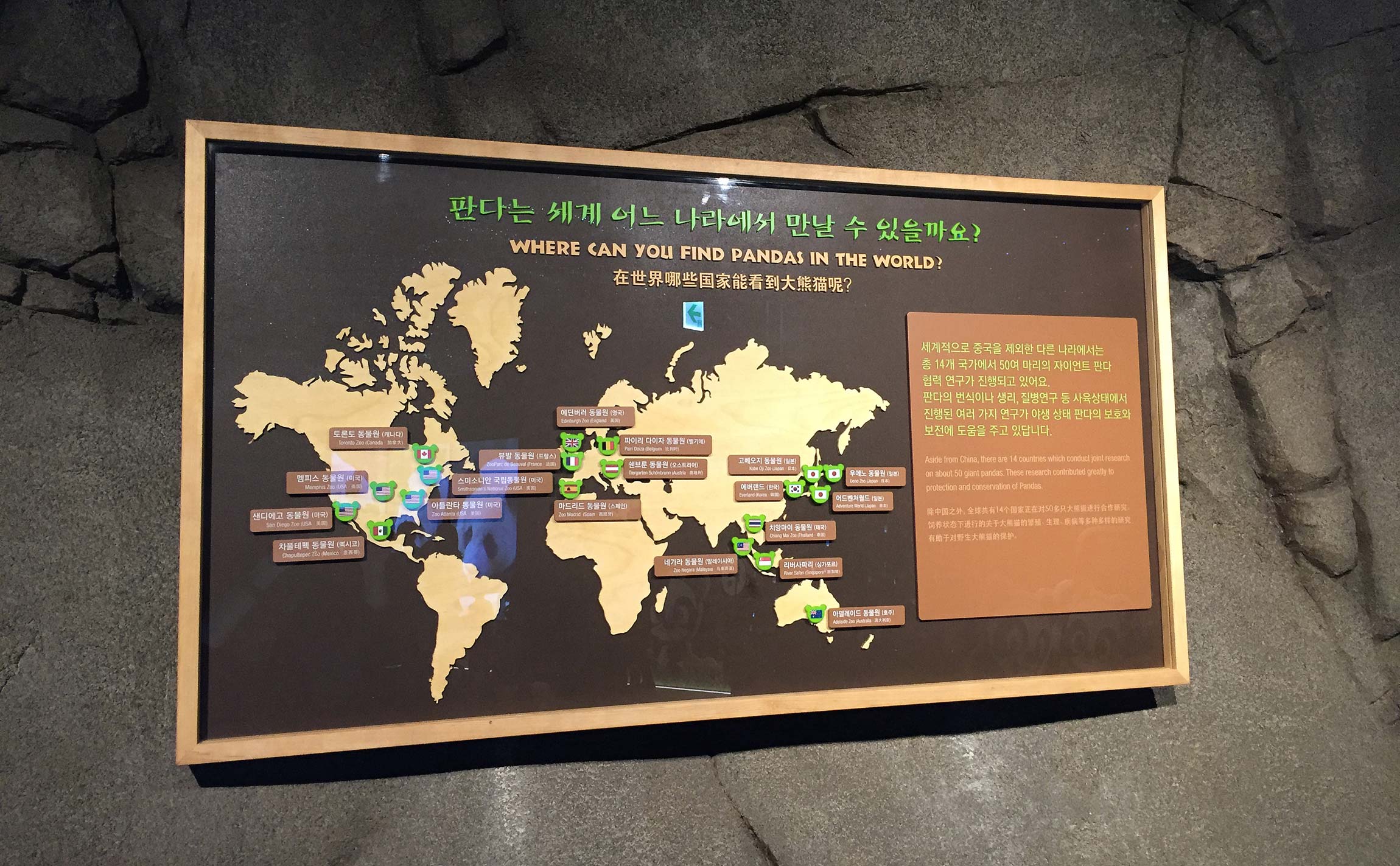 Panda World 에버랜드 전시 -  이벤트 - 환경 - 공간 pandaworld-map-1.jpg