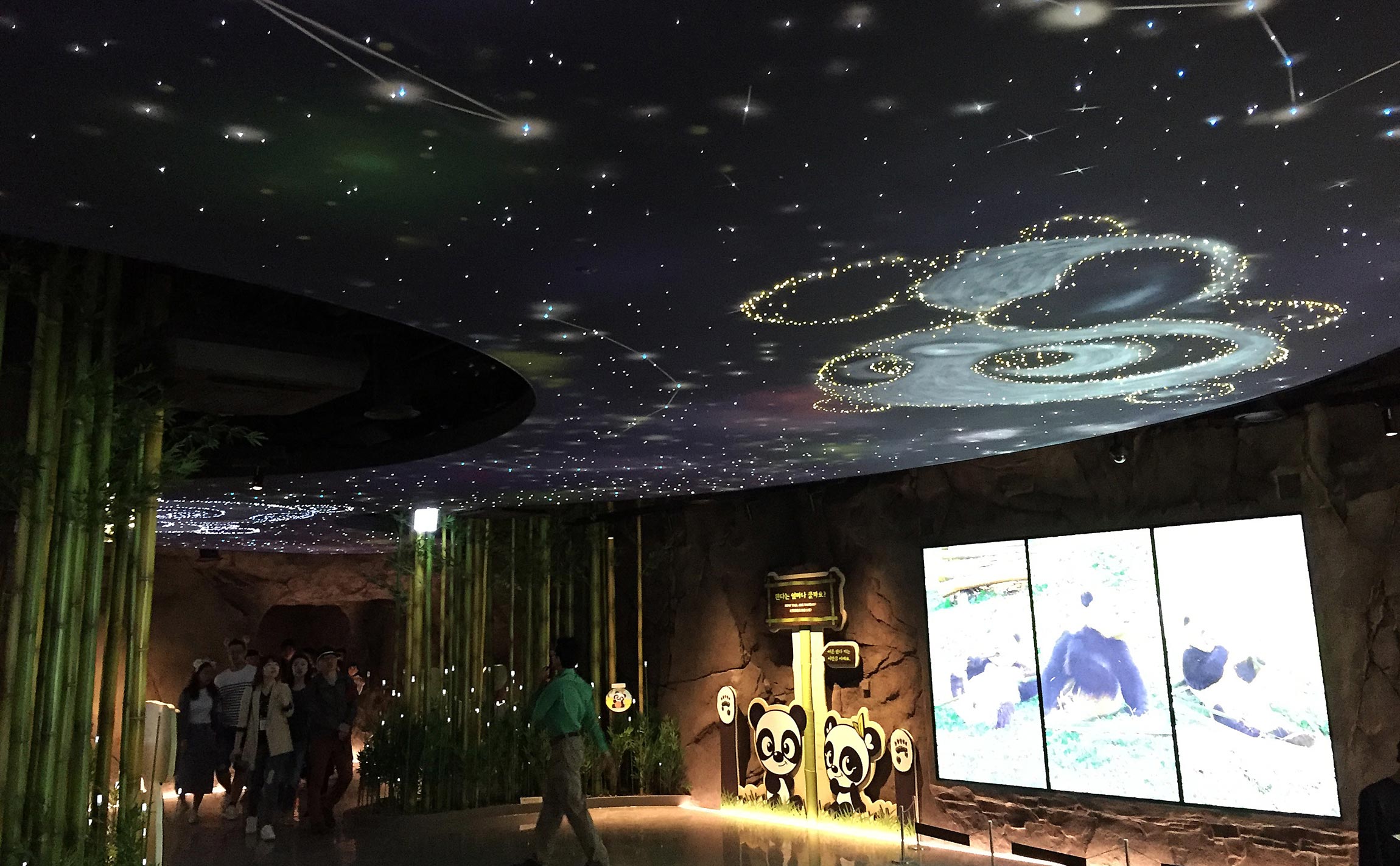 Panda World 에버랜드 전시 -  이벤트 - 환경 - 공간 pandaworld-ceil-1.jpg